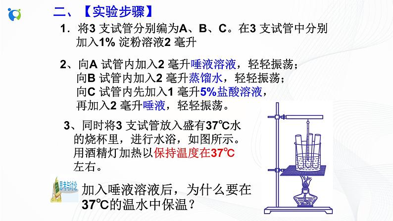 浙教版科学九年级上册 第4章 第2节 食物的消化与吸收（第3课时）课件PPT+教案+练习06