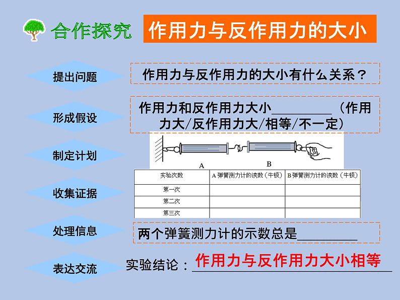 牛津上海版科学七年级下册12.2.4《作用力和反作用力》课件07