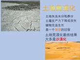 牛津上海版科学七年级下册13.1.3《土地荒漠化与防治》课件