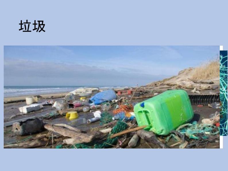 牛津上海版科学七年级下册13.3.3《废弃材料带来的环境问题》课件05