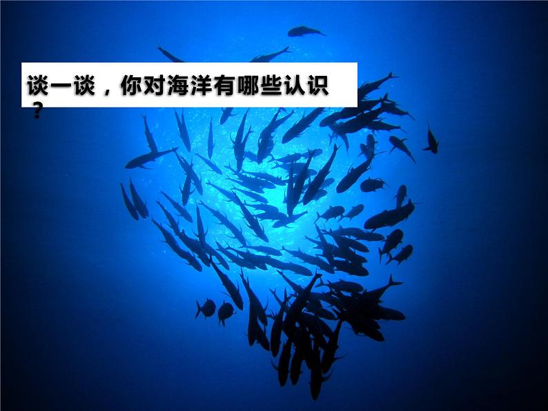 牛津上海版科学七年级下册14.1.1《浩瀚的海洋》课件02