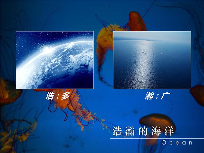 牛津上海版科学七年级下册14.1.1《浩瀚的海洋》课件04