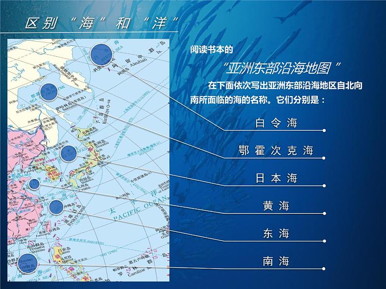 牛津上海版科学七年级下册14.1.1《浩瀚的海洋》课件07