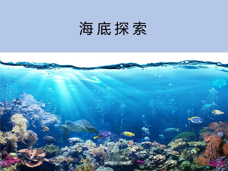 牛津上海版科学七年级下册14.2.1《海底世界》课件02