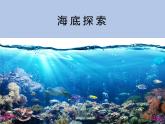 牛津上海版科学七年级下册14.2.1《海底世界》课件