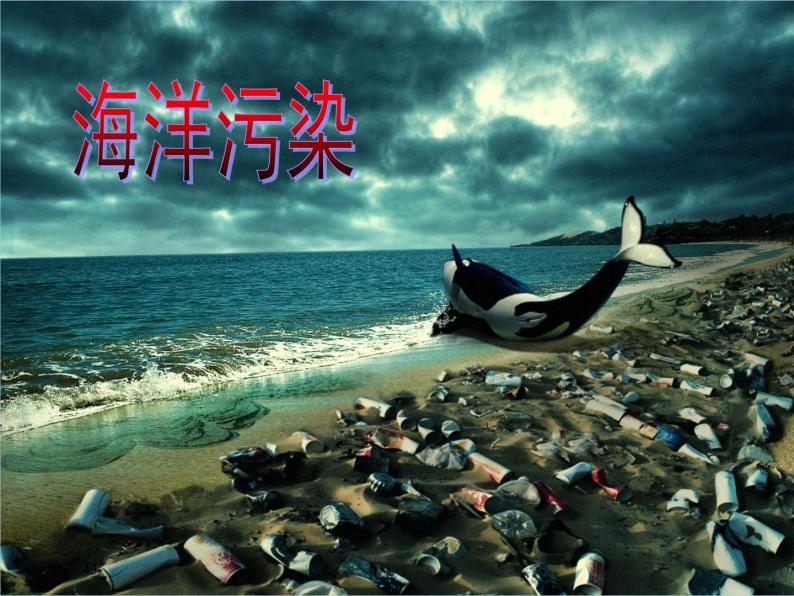 牛津上海版科学七年级下册14.3.1《海洋污染》课件02