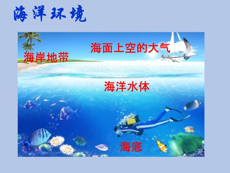 牛津上海版科学七年级下册14.3.1《海洋污染》课件03