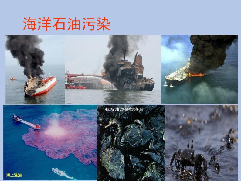 牛津上海版科学七年级下册14.3.1《海洋污染》课件06