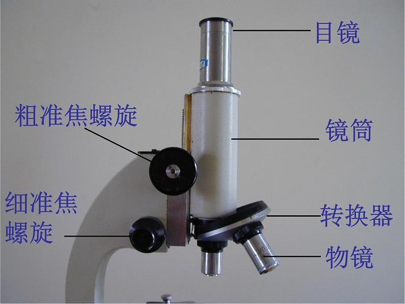 浙教版科学七年级上册 第二章 第二节 细胞_（课件）第3页