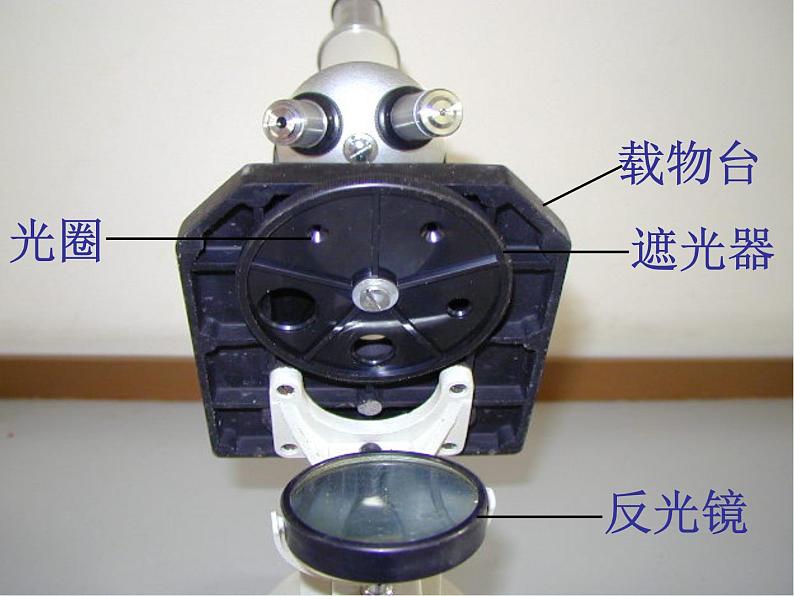 浙教版科学七年级上册 第二章 第二节 细胞_（课件）第5页