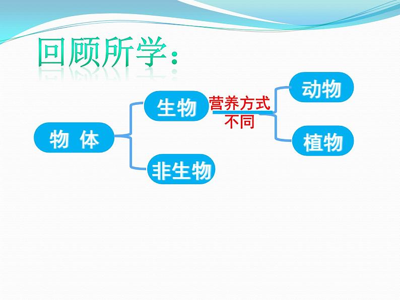 浙教版科学七年级上册 第二章 第六节 物种的多样性（1）（课件）02