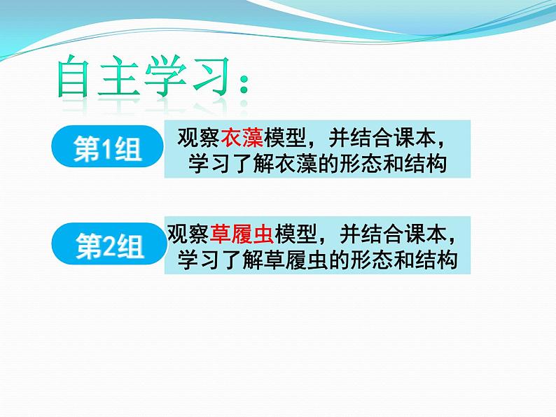 浙教版科学七年级上册 第二章 第六节 物种的多样性（1）（课件）03