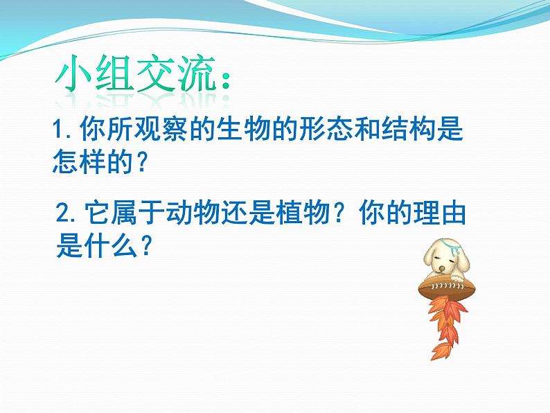 浙教版科学七年级上册 第二章 第六节 物种的多样性（1）（课件）04