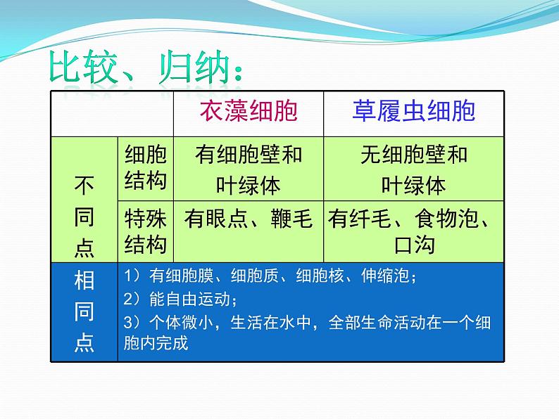 浙教版科学七年级上册 第二章 第六节 物种的多样性（1）（课件）06