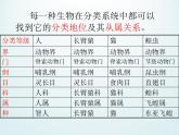 浙教版科学七年级上册 第二章 第四节 常见的动物_(1)（课件）