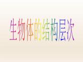 浙教版科学七年级上册 第二章 第三节 生物体的结构层次_(1)（课件）