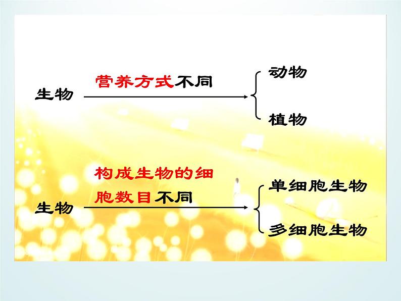 浙教版科学七年级上册 第二章 第六节 物种的多样性_（课件）第4页