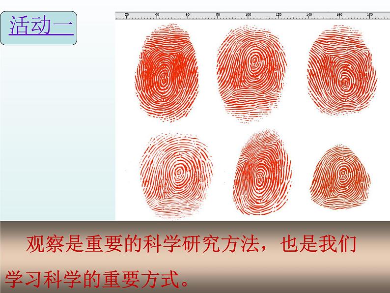 浙教版科学七年级上册 第一章 第三节 科学观察_（课件）05