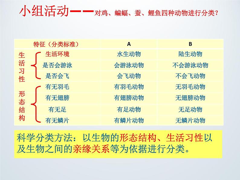 常见的动物PPT课件免费下载05