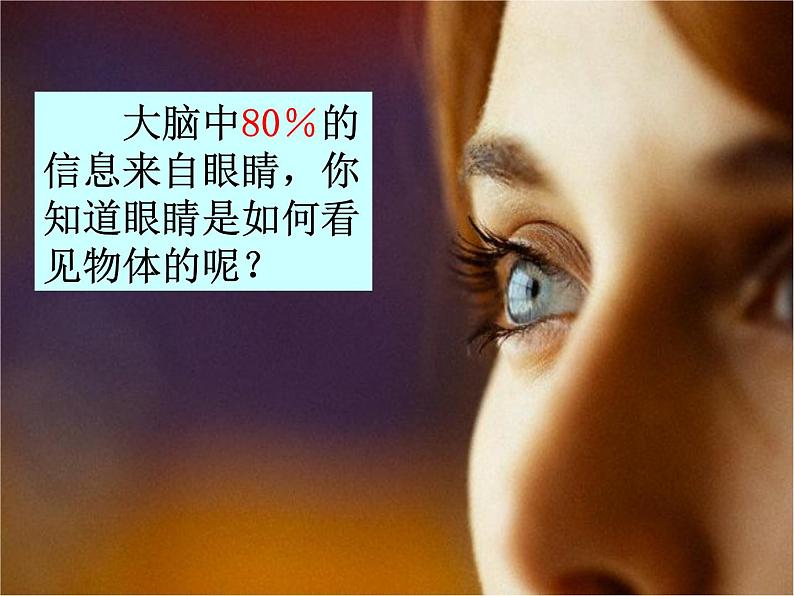 浙教版科学七年级下册 第二章 第六节 透镜和视觉 第3课时 课件第5页