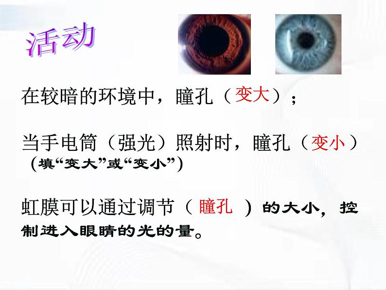 浙教版科学七年级下册 第二章 第六节 透镜和视觉 第3课时 课件第7页