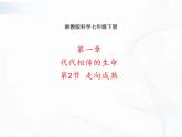 浙教版科學(xué)七年級下冊 第一章 第二節(jié) 走向成熟 課件