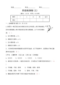 2022年浙教版科学中考一轮复习阶段检测卷(三)