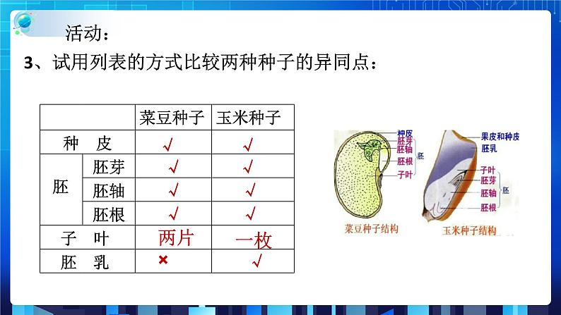 1.4植物的一生 第1课时  (课件+教案+导学案）08