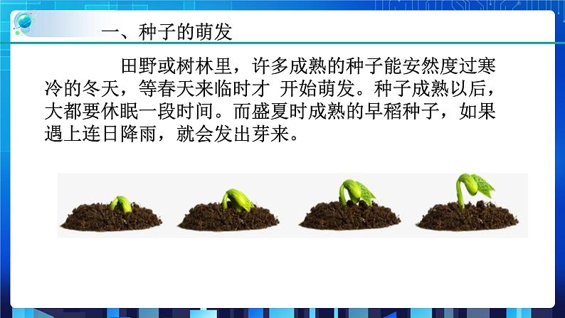 1.4植物的一生 第2课时  (课件+教案+导学案）03