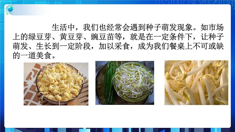 1.4植物的一生 第2课时  (课件+教案+导学案）04