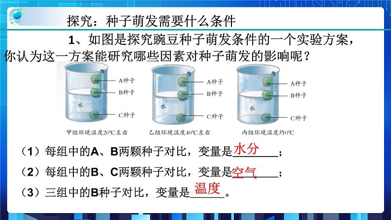 1.4植物的一生 第2课时  (课件+教案+导学案）08