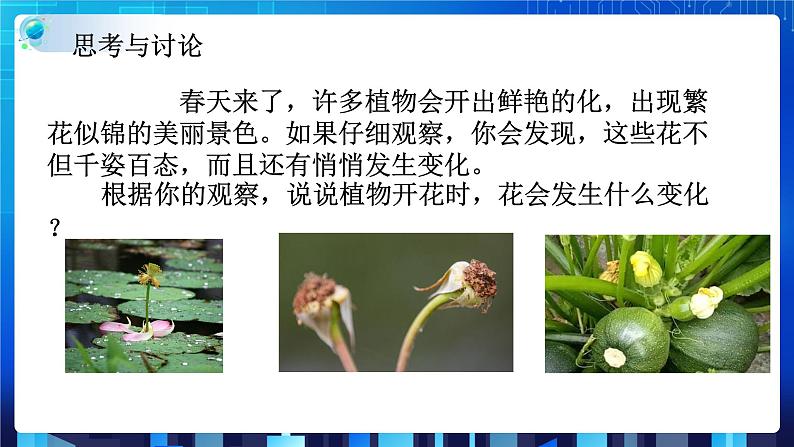 1.5植物生殖方式的多样性第1课时  (课件+教案+导学案）05