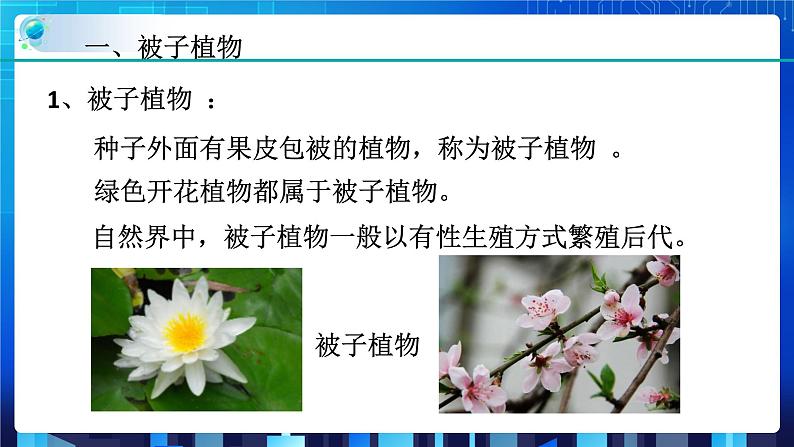 1.5植物生殖方式的多样性第1课时  (课件+教案+导学案）06