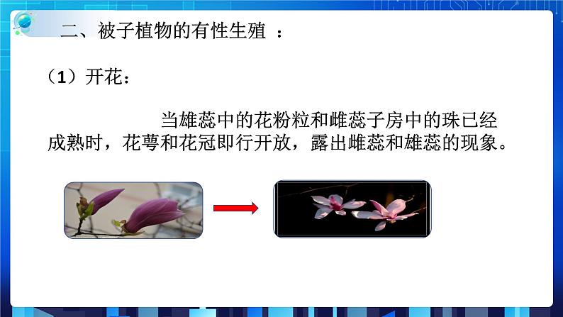 1.5植物生殖方式的多样性第1课时  (课件+教案+导学案）07
