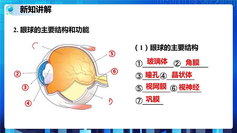 2.6透镜和视觉 第3课时 (课件+教案+导学案）07