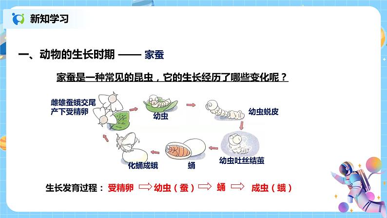 动物的生长时期第8页