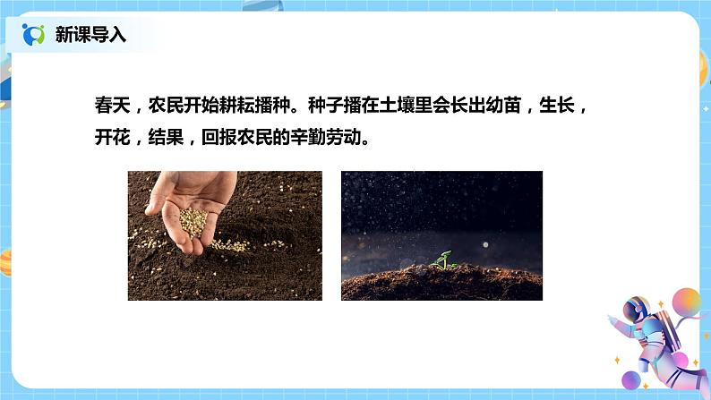 浙教版科学七下1.4《植物的一生》第一课时 课件+教案03