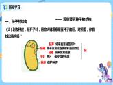 浙教版科学七下1.4《植物的一生》第一课时 课件+教案