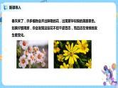 浙教版科学七下1.5《植物生殖方式的多样性》课件+教案