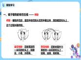 浙教版科学七下1.5《植物生殖方式的多样性》课件+教案