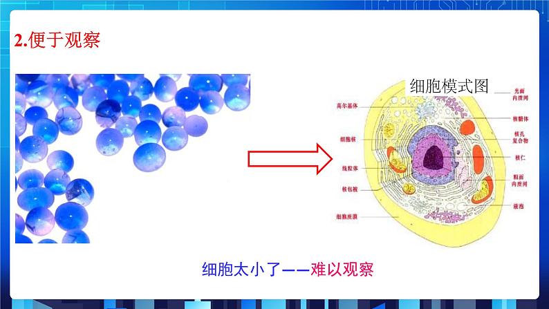 2.1《模型、符号的建立与作用》第6页