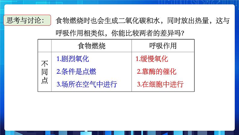 3.5《生物的呼吸和呼吸作用》第2课时 课件+教案+练习05