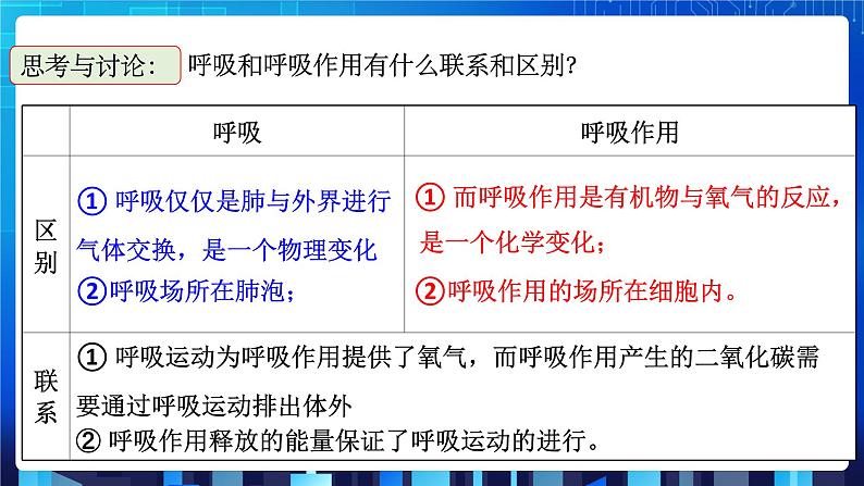 3.5《生物的呼吸和呼吸作用》第2课时 课件+教案+练习08