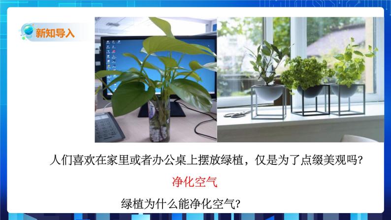 3.6《光合作用》课件+教案+练习02