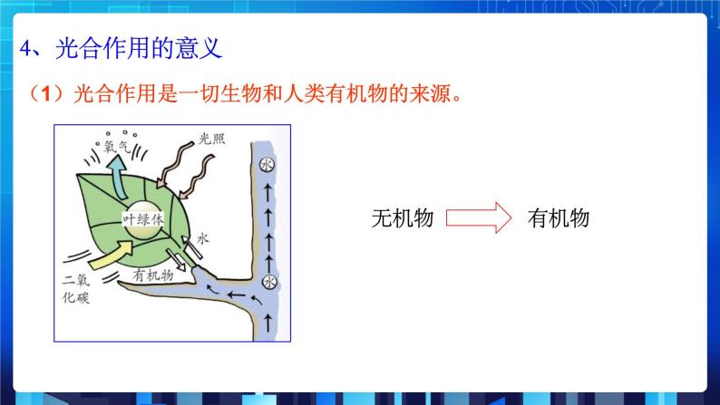 3.6《光合作用》课件+教案+练习06