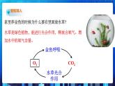 3.7《自然界中的氧循环和碳循环》课件+教案+练习