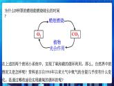 3.7《自然界中的氧循环和碳循环》课件+教案+练习