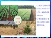 4.2《各种各样的土壤》课件+教案+练习