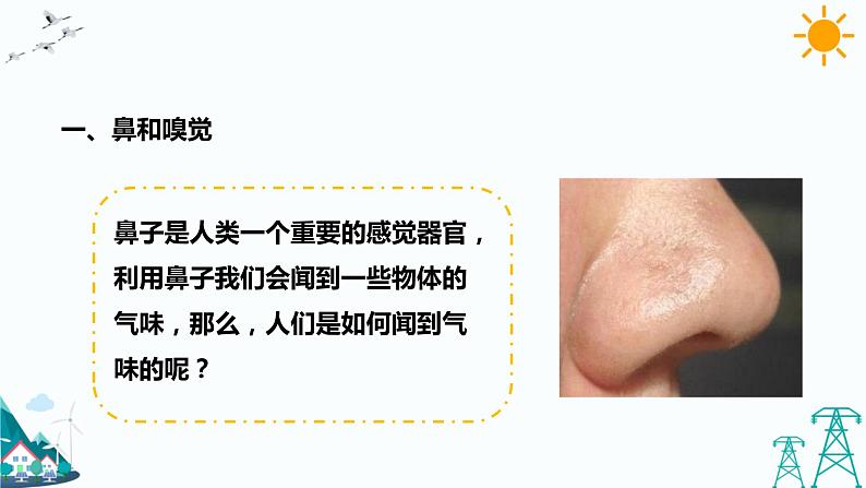 2.1 感觉世界（第2课时）（课件+教案+课时练）03