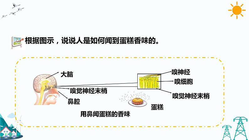 2.1 感觉世界（第2课时）（课件+教案+课时练）04